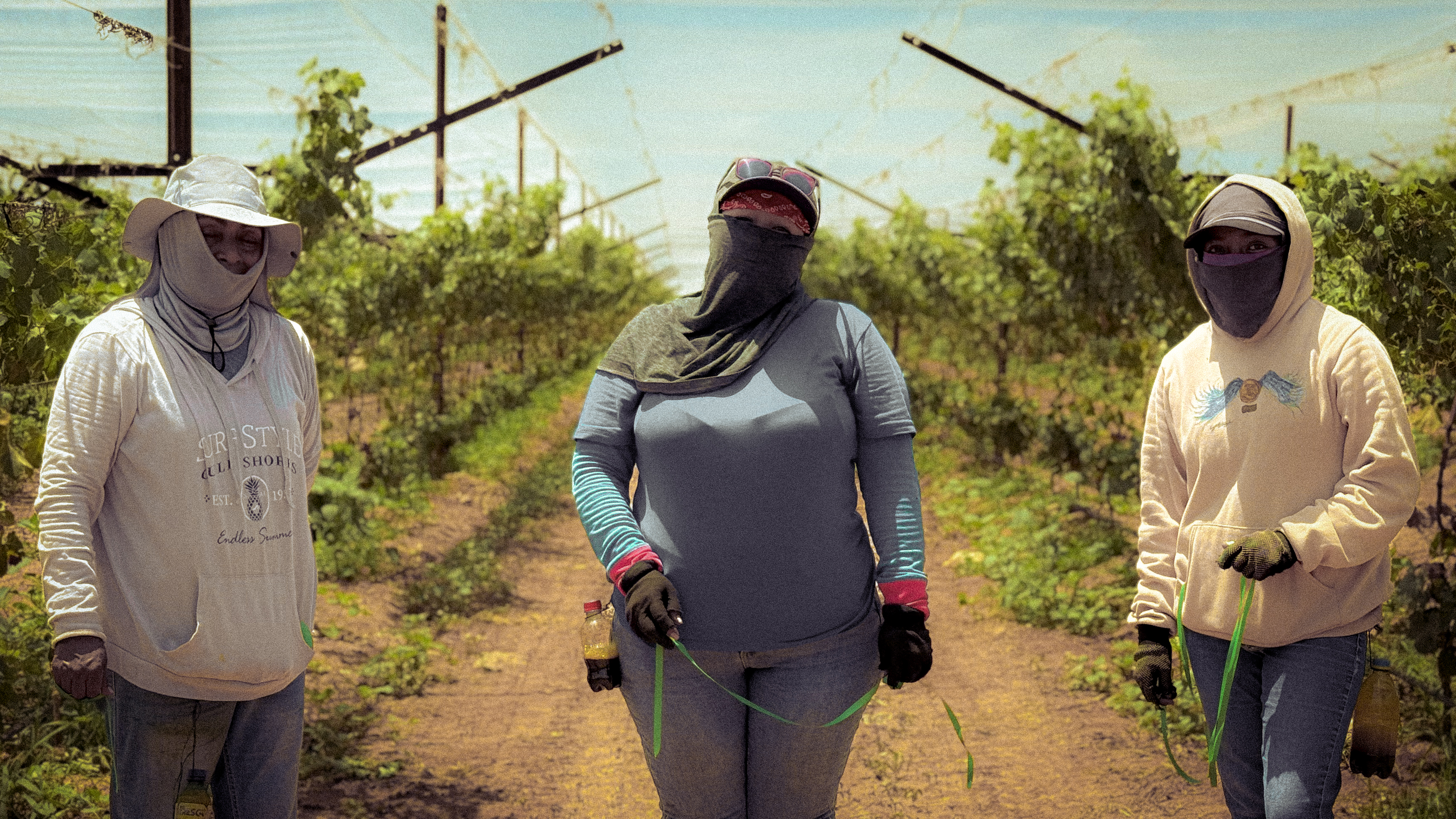 Fotografía 03.04 de la serie La tierra que trabaja